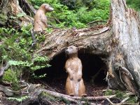 3D-Ziele-Murmeltiere