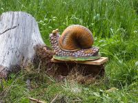 3D-Ziele-Schnecke