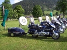 Goldwing_3
