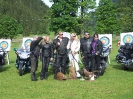 Goldwing_6