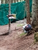 Erlebnis Bogenparcour